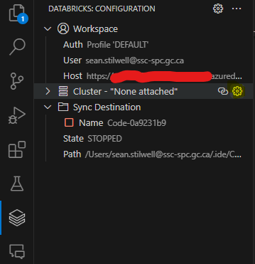 Databricks extension
